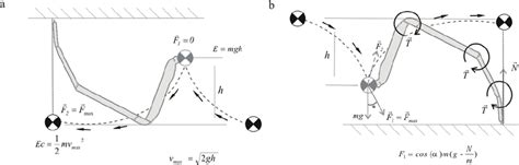  Nicolasespiders: Những kẻ săn mồi kỳ dị với những chân rung động như con lắc!